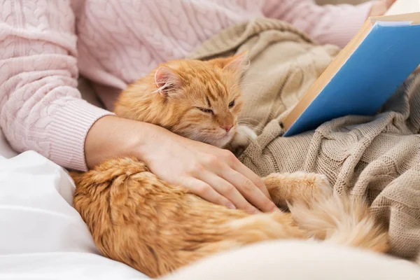 Red cat and female owner reading book at home — Stock Photo, Image