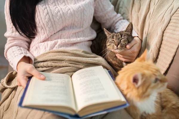 Червоний і таббі і власник читання книги вдома — стокове фото
