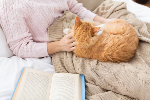 Close up de proprietário acariciando gato vermelho na cama em casa — Fotografia de Stock