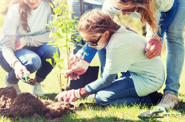 Grupo de voluntários plantando árvore no parque — Fotografia de Stock