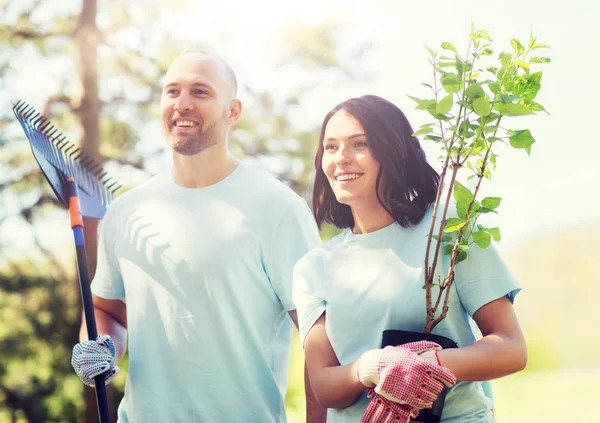 Coppia di volontari con alberi e rastrello nel parco — Foto Stock