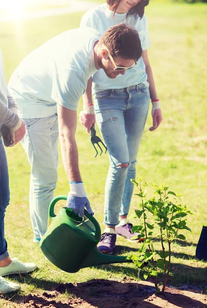 Gruppe von Freiwilligen pflanzt und gießt Baum — Stockfoto