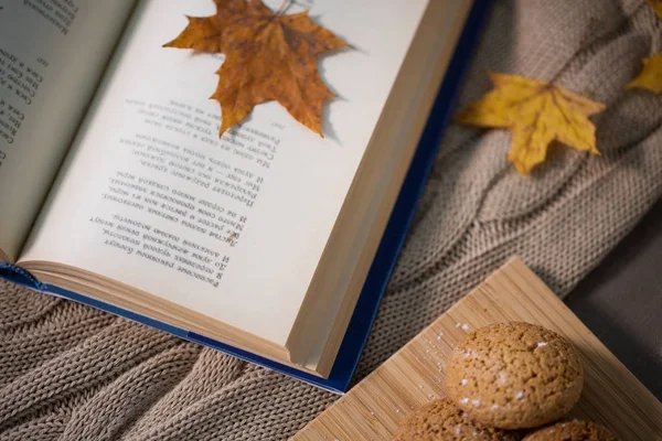 Libro con hoja de otoño y galletas en la manta del hogar — Foto de Stock