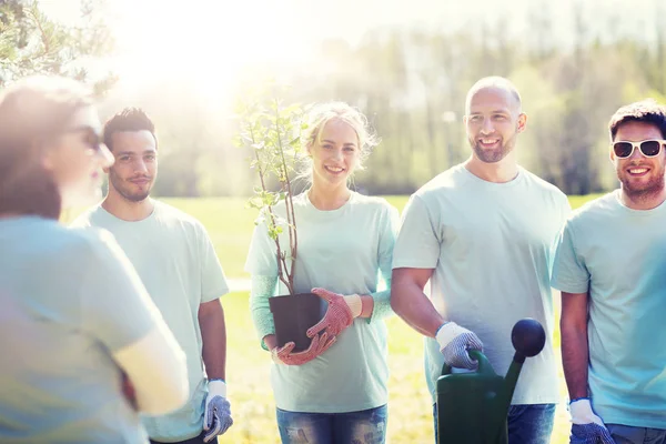 Groep vrijwilligers met boom zaailing in park — Stockfoto