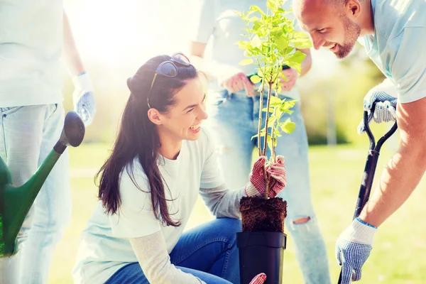 Groep vrijwilligers die bomen planten in het park — Stockfoto