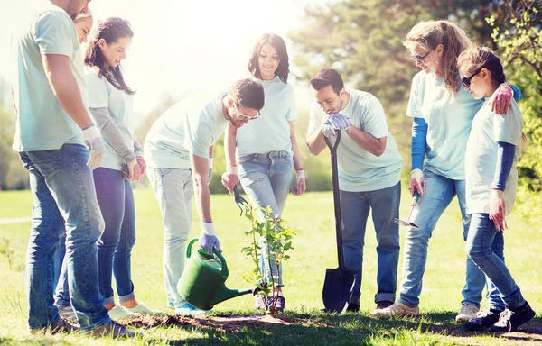 Grupo de voluntarios plantando y regando árboles —  Fotos de Stock