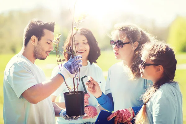 Grupo de voluntários plantando árvores no parque — Fotografia de Stock