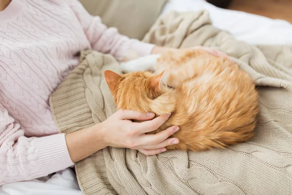 Close up de proprietário com gato vermelho na cama em casa — Fotografia de Stock