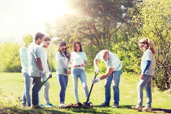 Groep vrijwilligers die bomen planten in het park — Stockfoto