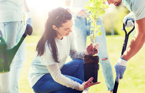 Grupo de voluntários plantando árvore no parque — Fotografia de Stock