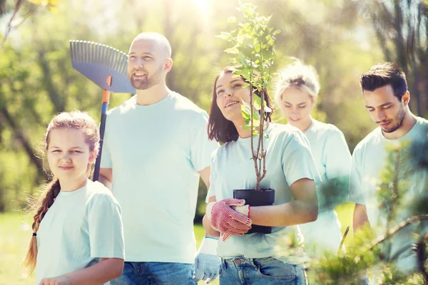 Grupo de voluntarios con árboles y rastrillo en el parque —  Fotos de Stock