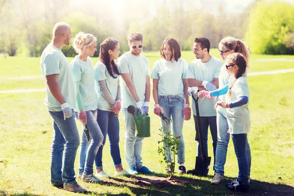 Grupo de voluntários plantando árvore no parque — Fotografia de Stock