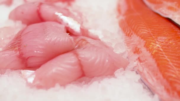 Meeresfrüchte oder Fisch auf Eis — Stockvideo