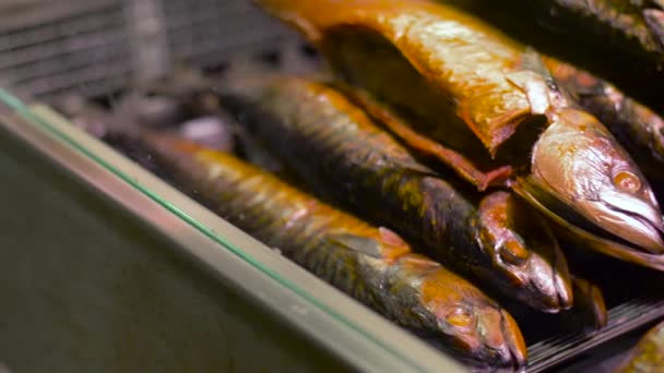 Smoked fish on tray — Stock Video