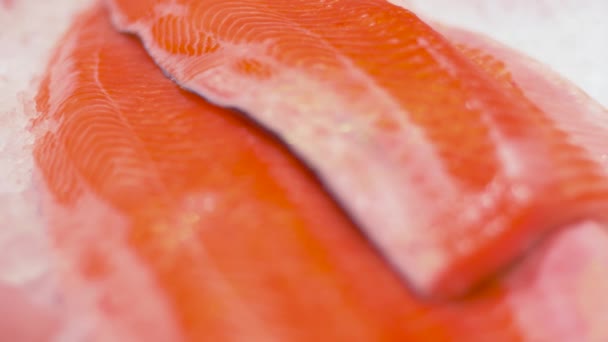 Deniz ürünleri ya da buzda balık — Stok video