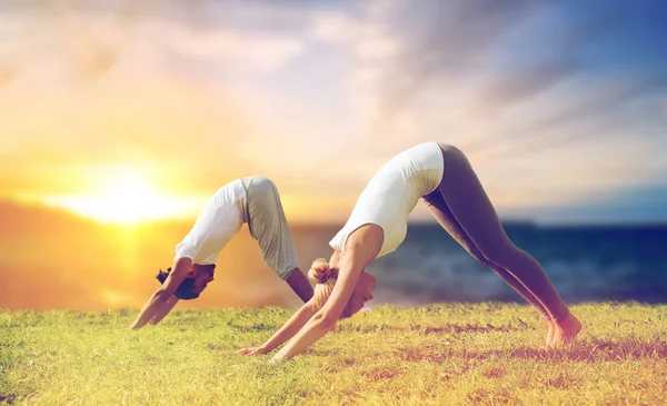 Gülümseyen iki yapım yoga köpek poz açık havada — Stok fotoğraf
