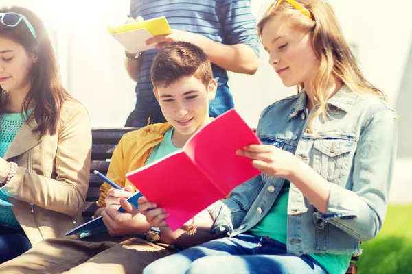 Skupina studentů s notebookem na školním dvoře — Stock fotografie