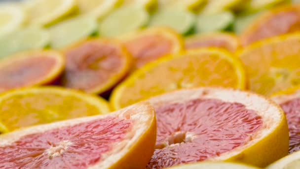 Nahaufnahme von Grapefruit, Orange, Zitrone und Limette — Stockvideo