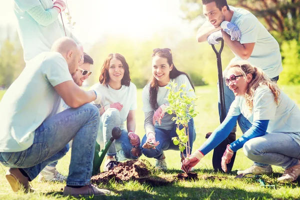 Gruppo di volontari che piantano alberi nel parco — Foto Stock