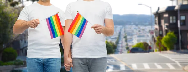 Pareja masculina con banderas de orgullo gay cogidas de la mano — Foto de Stock