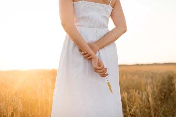 Женщина на зерновом поле держит спелую пшеничную косточку — стоковое фото
