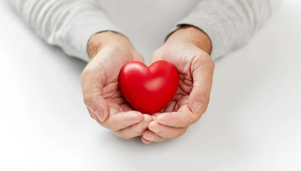 Großaufnahme eines älteren Mannes, der ein rotes Herz in Händen hält — Stockfoto