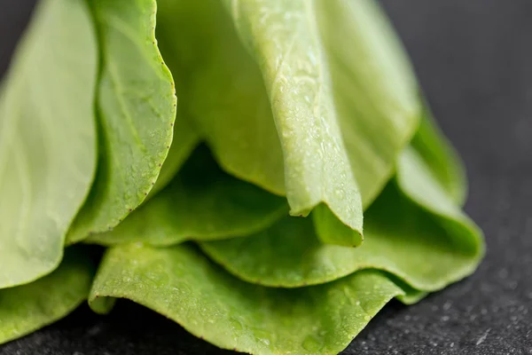 Close up of bok choy cabbage on slate background — Stock Photo, Image