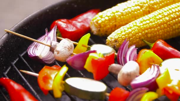 Barbecue kebab viande et légumes sur le gril — Video