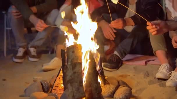 Barátok pörkölés Marshmallow a tábortűz a strandon — Stock videók