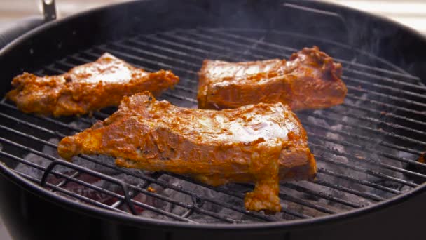 Grill kött rostning på brazier grill utomhus — Stockvideo