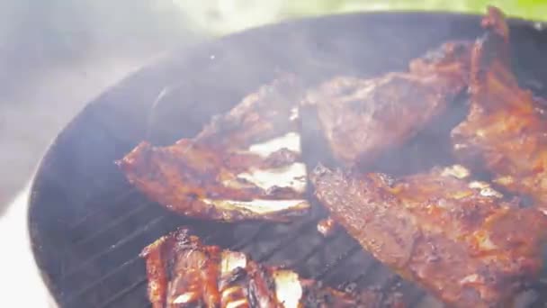 Barbecue vlees roosteren op brazier grill buiten — Stockvideo