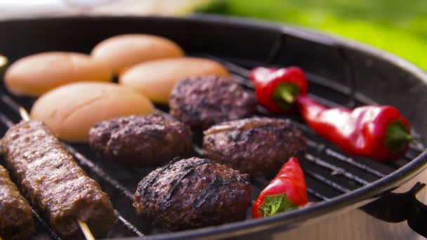 Barbecue kebab vlees en groenten op grill — Stockvideo