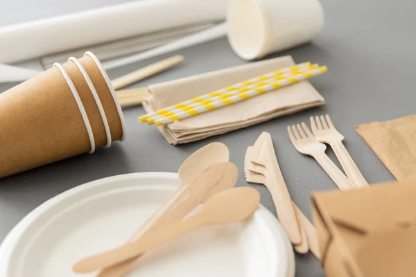 Disposable dishes of paper and wood — Stock Photo, Image