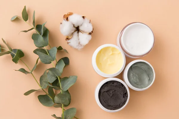 Blue clay mask, body butter and eucalyptus cinerea — Stock Photo, Image