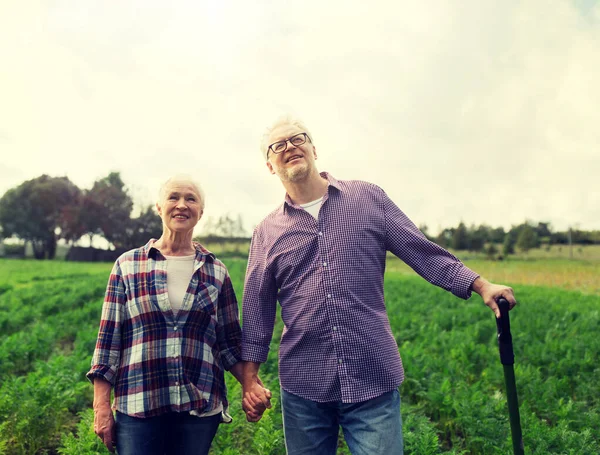 Šťastný pár senior v létě farm — Stock fotografie