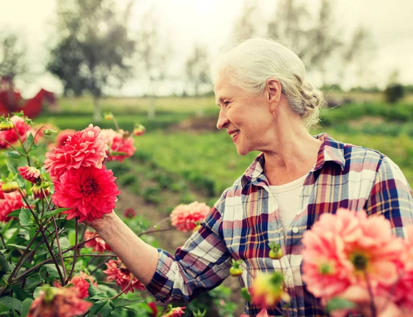 Старша жінка з квітами в літньому саду — стокове фото