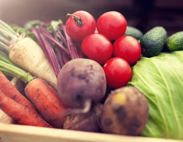 Primo piano delle verdure in azienda — Foto Stock