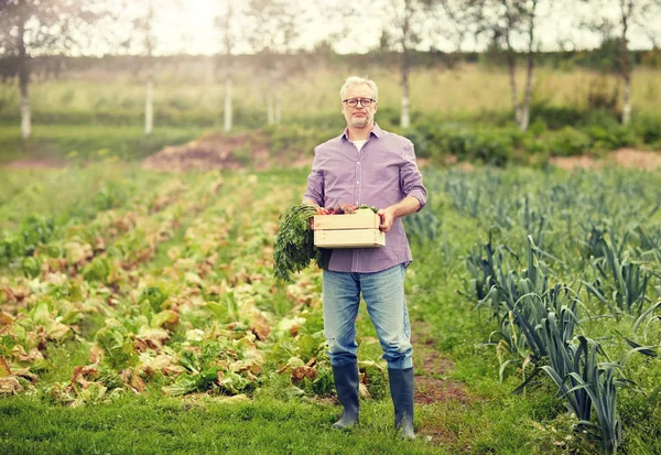 Alter Mann mit Gemüsekiste im Bauerngarten — Stockfoto