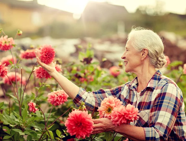 Donna anziana con fiori in giardino estivo — Foto Stock