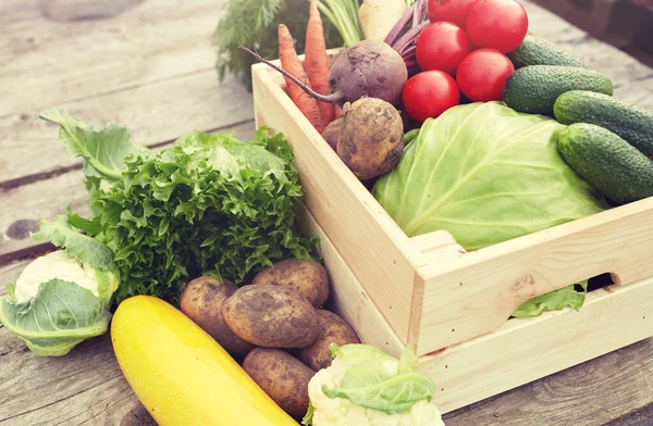 Nahaufnahme von Gemüse auf dem Bauernhof — Stockfoto