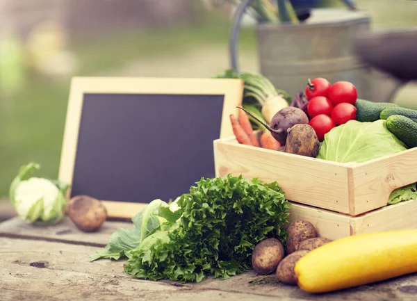 Zbliżenie warzyw z tablicą w gospodarstwie — Zdjęcie stockowe