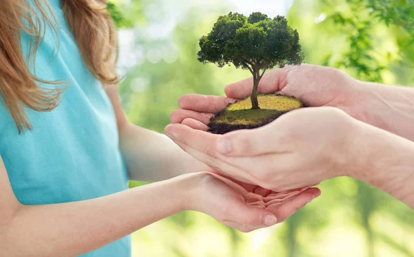 Primer plano de los padres y las niñas manos sosteniendo el árbol — Foto de Stock