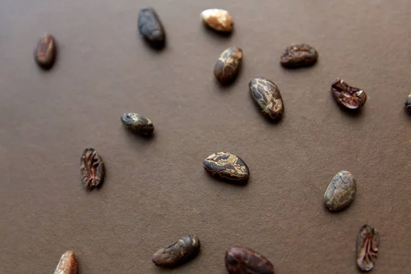 Frijoles de cacao sobre fondo marrón — Foto de Stock