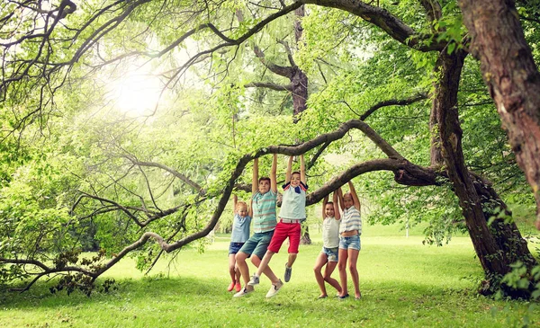 Szczęśliwy kids wiszące na drzewie w parku lato — Zdjęcie stockowe