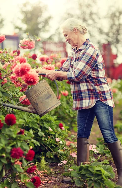 Mulher sênior regando flores no jardim de verão — Fotografia de Stock