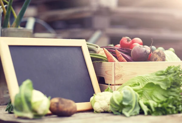 Närbild av grönsaker med tavelplatta på gården — Stockfoto