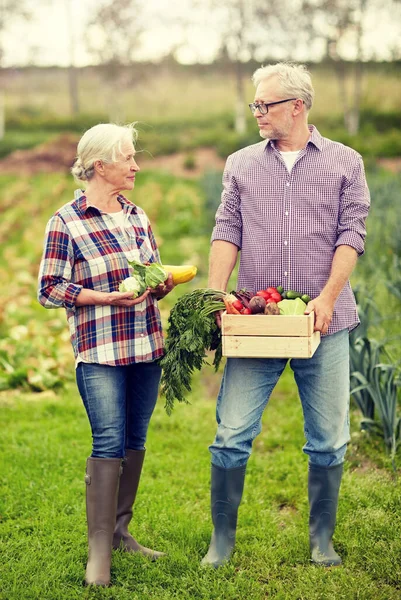 Старша пара з коробкою з овочами на фермі — стокове фото