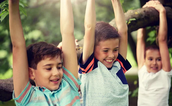 Close-up van kinderen opknoping op boom in zomerpark — Stockfoto
