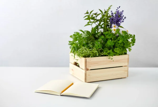 Tahta kutuda bitkilerle ve çiçeklerle dolu bir defter. — Stok fotoğraf