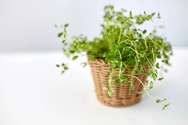 Green thyme herb in wicker basket on table — ストック写真